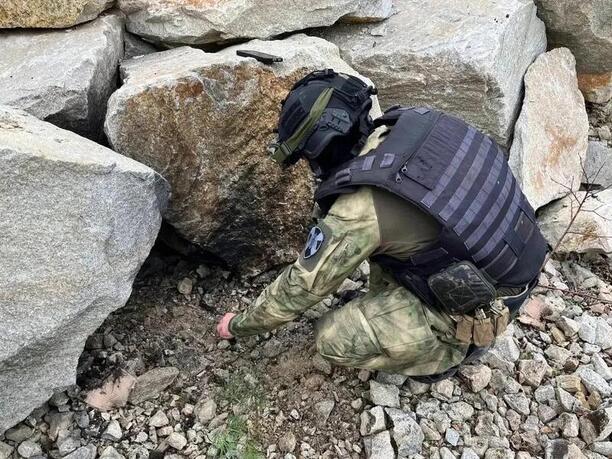 Силовики под Екатеринбургом нейтрализовали опасную гранату