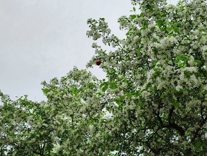 Теплое обещание сентября: +21 °C в Ижевске
